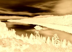 Sepia + Negatyw