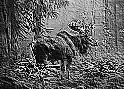 Skamielina