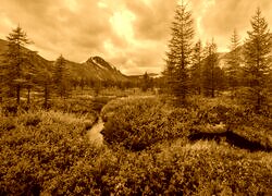 Sepia