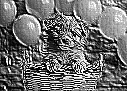 Skamielina