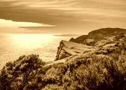 Sepia