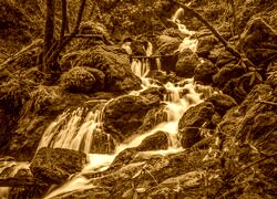 Sepia