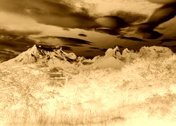 Sepia + Negatyw