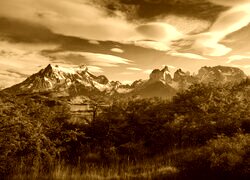 Sepia