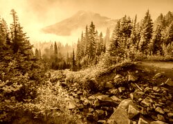 Sepia