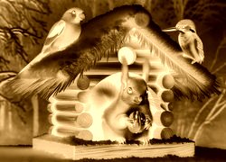 Sepia + Negatyw