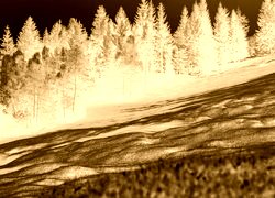 Sepia + Negatyw