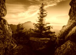 Sepia