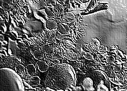 Skamielina