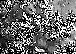 Skamielina