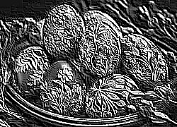Skamielina