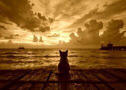 Sepia