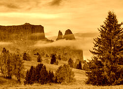 Sepia