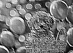 Skamielina