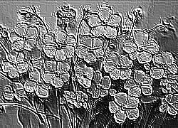 Skamielina