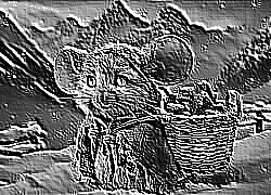Skamielina
