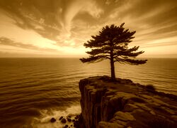 Sepia