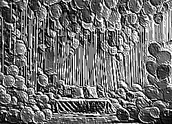 Skamielina