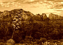 Sepia