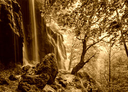 Sepia