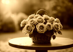 Sepia