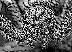 Skamielina