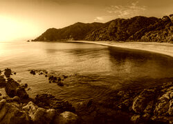 Sepia