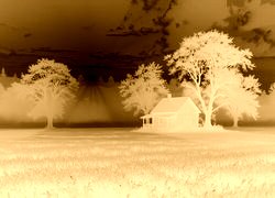 Sepia + Negatyw