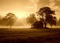 Sepia