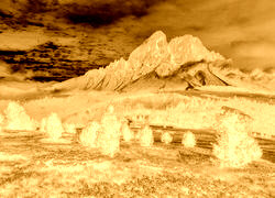 Sepia + Negatyw