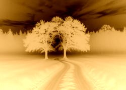 Sepia + Negatyw