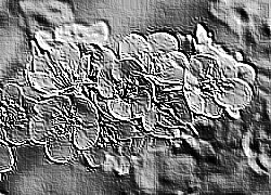 Skamielina