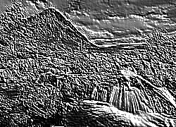Skamielina