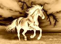 Sepia + Negatyw