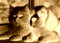 Sepia + Negatyw