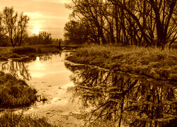 Sepia