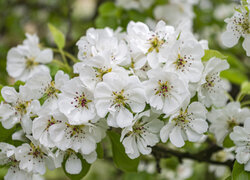 Oryginalny obrazek