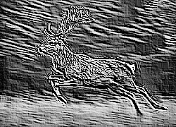 Skamielina