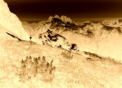 Sepia + Negatyw