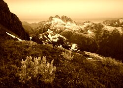 Sepia