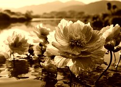 Sepia