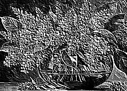 Skamielina