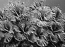 Skamielina