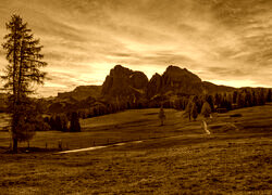 Sepia