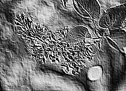 Skamielina