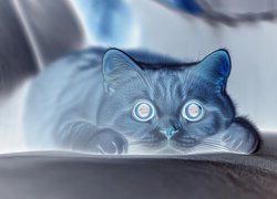Negatyw