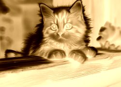 Sepia + Negatyw