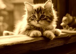 Sepia