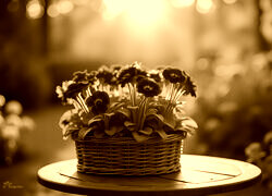 Sepia