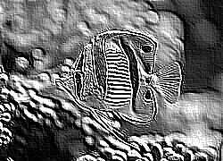 Skamielina